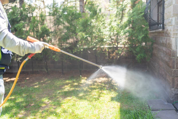 Best Mosquito Control Services  in Warrenton, GA